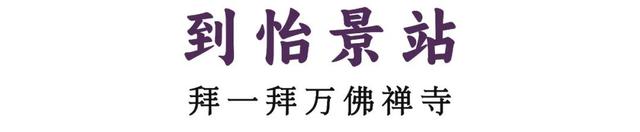 “这条路线，建议深圳人都去一遍”