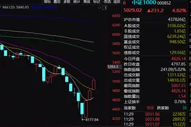 中一签最高赚超14万元 ！A股又现“大肉签”！图片