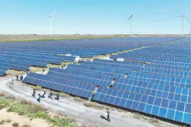 “助力非洲生态环境治理不断向前推进”图片