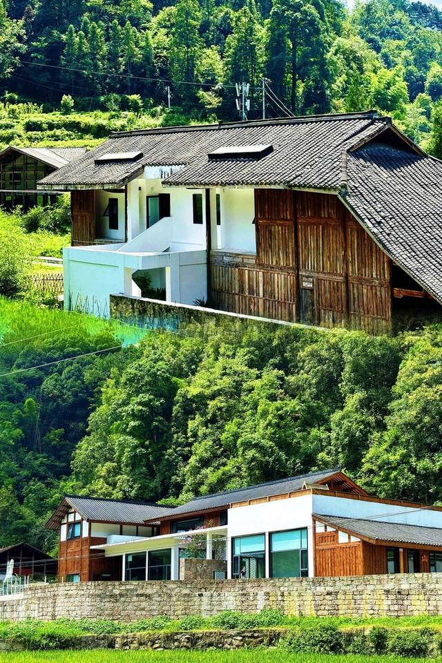 田里捉鱼，星空下打滚！习水梧桐山邀你住进《你好生活》同款民宿