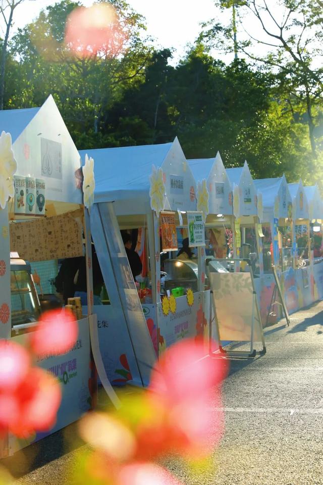 行摄 | 美爆了！秋日花海，限时上映