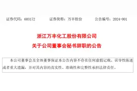 浙江万丰化工股份有限公司董事会秘书陈昌文辞职图片