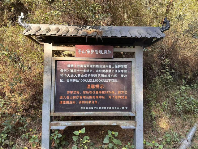 严禁擅自攀爬！20人违规登苍山被查处