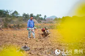 贵阳永乐：花开烂漫春意浓图片