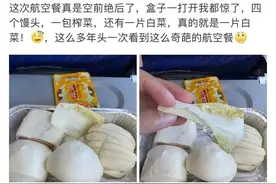 飞机餐“馒头+白菜”引热议，航司配餐有标准吗？图片