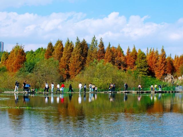 【图里有理】初冬暖阳风光好