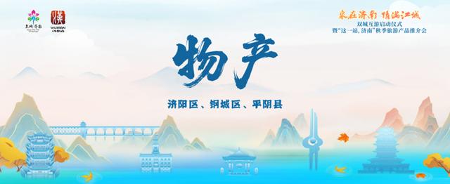 “这一站，济南”惊艳武汉！15区县集体“C”位出道 刷新泉城文旅印象