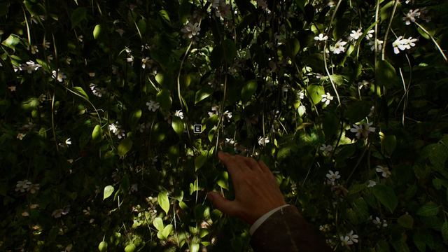 《夺宝奇兵：古老之圈》剧情图文流程全攻略