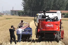 【创建“枫桥式人民法庭”】“田间法庭”护耕万顷良田图片