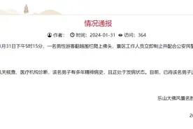 男子爬上乐山大佛头顶小便？景区：有多年精神病史，已劝离送医图片