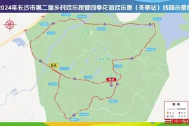 名额900个，去茶亭花海跑进春天图片