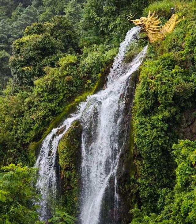 耍法都摆出来了，还不来大理说不过去了