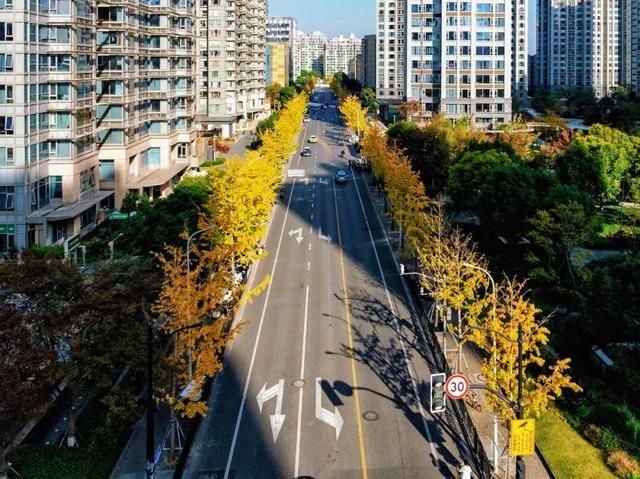 秋冬限定的普陀，美到让人流连忘返，你还不来打卡吗？