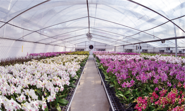 9条乡村旅游线路，就按这个玩…