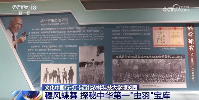 文化中国行丨探秘中华第一“虫羽”宝库 来这上一堂最生动自然课