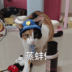 快来泡温泉！这个高速服务区正式开门迎客