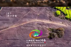 春分：在安仁，赴一场春日之约图片