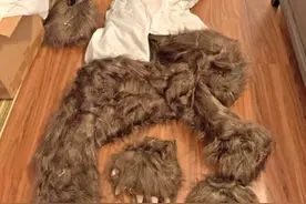 穿上道具服装扮成熊骗保，美国加州4人被捕图片