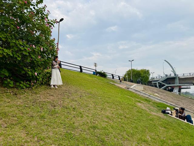 长沙人秋天的仪式感，藏在浏阳河畔这片粉色花海里