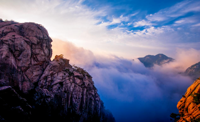秋天来罗田，好“柿”正发生！