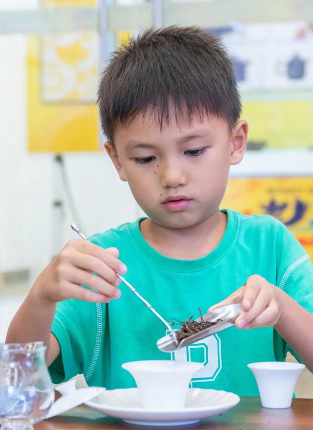 收获满满，精彩继续！南宁国际旅游中心“百堂公益课”免费开放，持续火热报名！