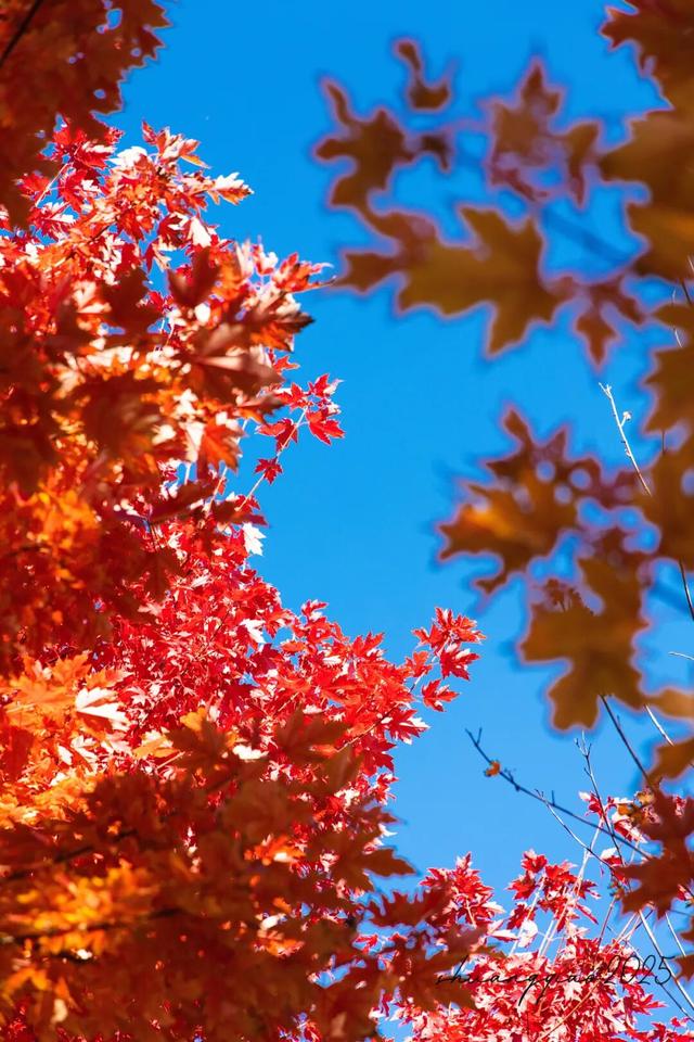 副中心的秋日画板已备好，等你来上色！