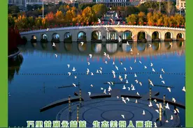 万里黄河永靖蓝 生态美景入画来图片