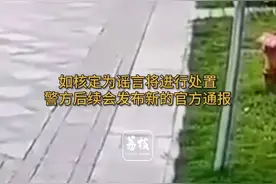 网传四川被咬女童先动手砸狗？当地辟谣图片