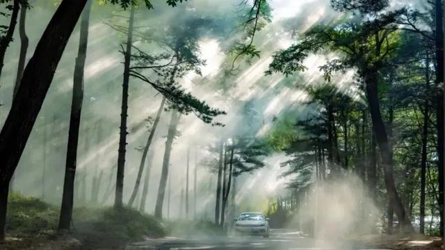 “我想离开浪浪山”，去神都洛阳看一看