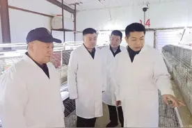 聊城市茌平区财政保险联动赋能金融供给侧改革  中国人寿财险首款兔保险助产业“兔”飞猛进图片