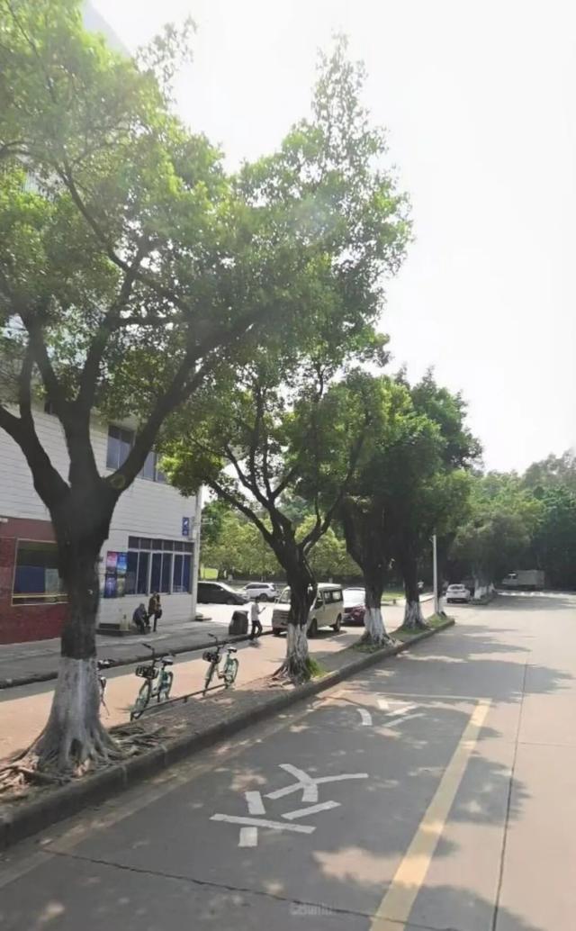 今晚来三水看震撼大型烟花秀！观赏C位、停车指引→