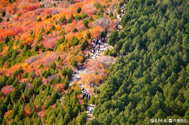 人气超高的蝎子山
