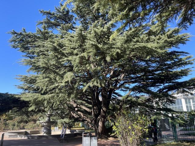 这个周末，国家植物园南园格外热闹！