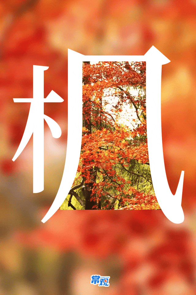 美翻了！大批常州人出动！