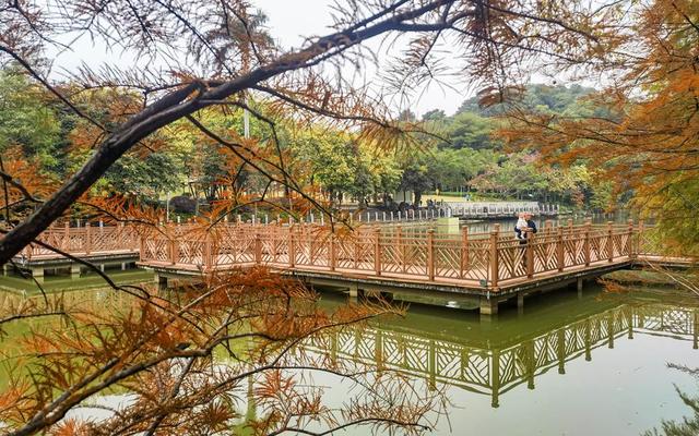 南宁市石门森林公园换上限定 “彩装”