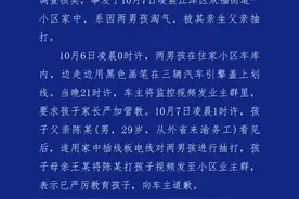 生父用电线抽打两名男孩被采取刑事强制措施，律师：家庭教育惩戒应守法适度图片