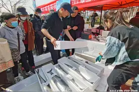 好吃好玩好实惠！2025沙子口鲅鱼节本周日开幕图片