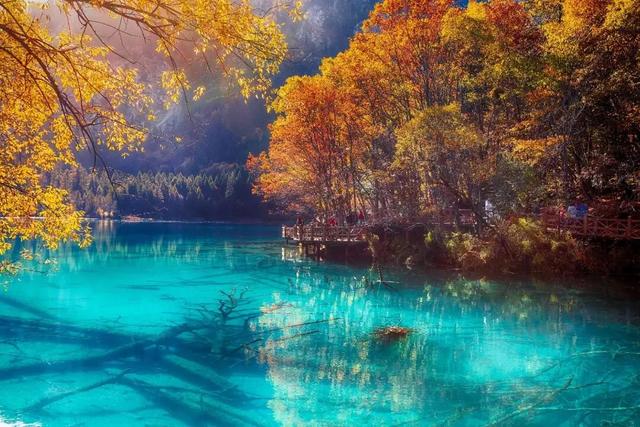 每个景区都有烤肠，凭什么九寨沟的烤肠火了？