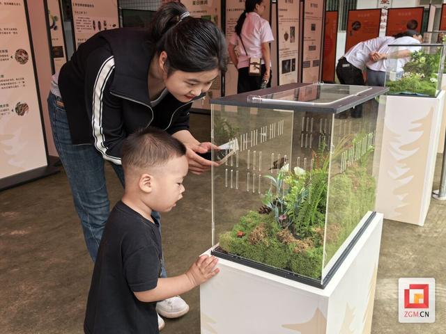 富顺县：“五条沟奇遇·森系漫游记”启幕