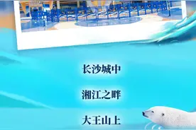 攻略｜元旦去哪玩？来这里解锁神奇海洋，畅游湘江欢乐海洋公园！图片