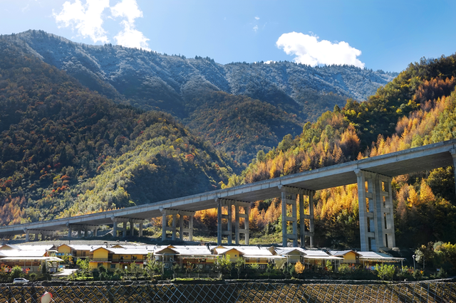 青睐绵阳 ‖ 红透了！周末去平武，沿着“百里彩林走廊”看一场雪山彩林“大片”~