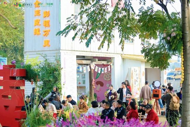 抢票式晒太阳！解码彭州“限量版暖阳”的私藏地图