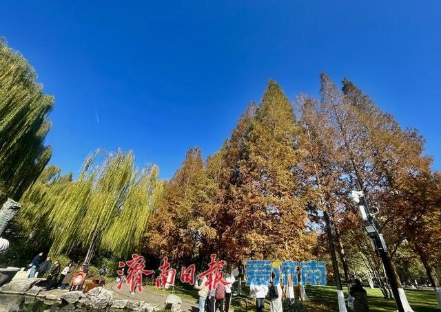 一年四季 泉在济南丨落叶绘“萌鹿”  济南五龙潭打卡冬日限定浪漫