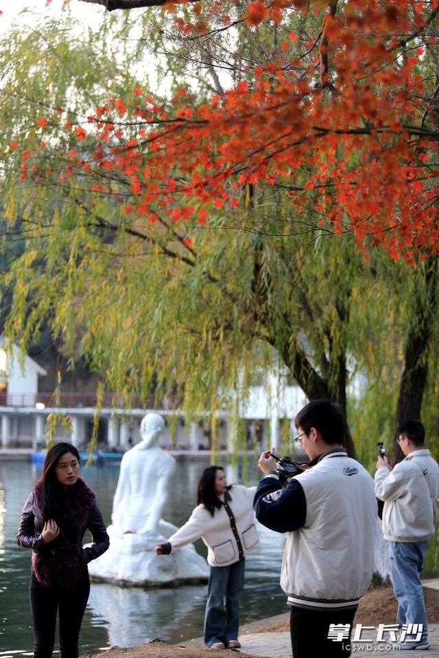 组图｜又是好天气，市民乐游园