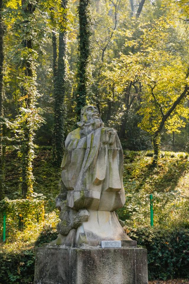 东湖秋日图鉴③｜磨山秋笺：一叶一诗，帧帧藏秋韵