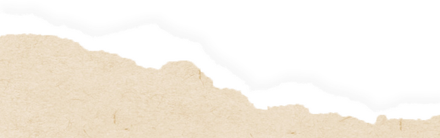 旅选上海·超级元旦 | 长宁区打卡活动，精彩好礼等你来！