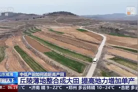丘陵薄地如何提单产？平原沙地怎么多打粮？春耕威海有新招图片