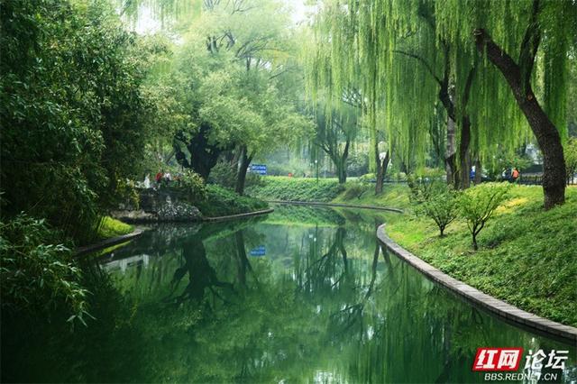 我眷恋的南方山水，原来都藏在了紫竹院的秋光里