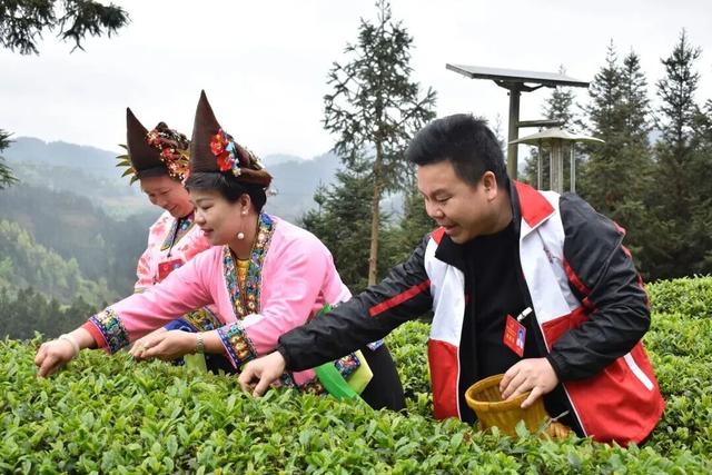 双节融水8天游“保姆级”攻略 听我的不踩坑、不纠结、直接抄
