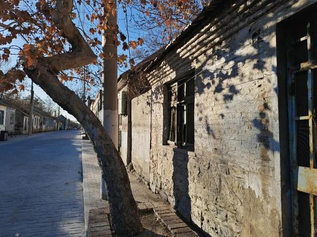 冬天，遇见不一样的潍坊！